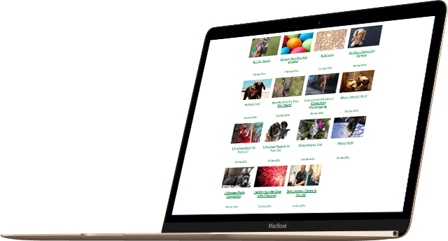 Ash Tree Vets website MacBook example