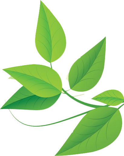 The Garden Leaves of East 2 Eden